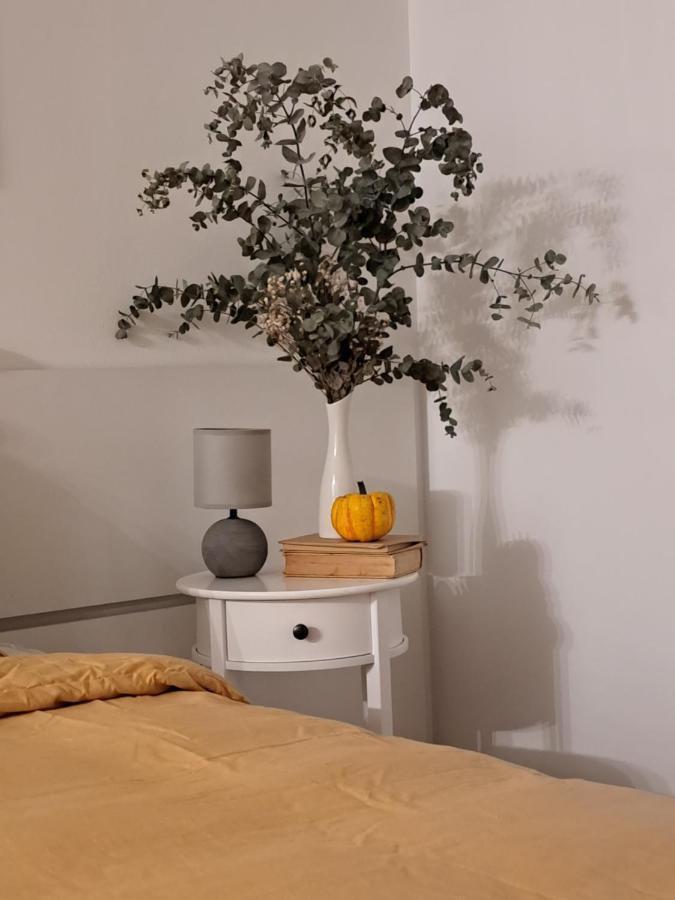 Apartman Karmen 沃迪切 外观 照片